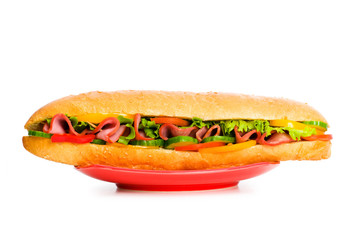 Long sandwich isolated on the white background