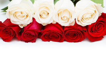 Red and white roses isolated on white