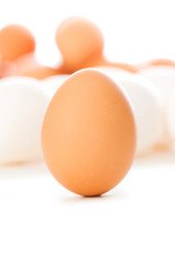 Brown egg on white - shallow depth of field