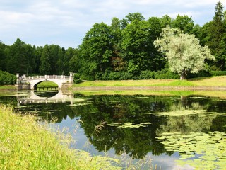 Naklejka premium Park in Pavlovsk, Russia, bridge