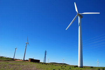 Eolienne à Madère