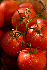 tomato,