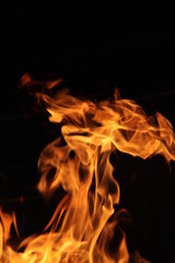 flamme dans un feu vif