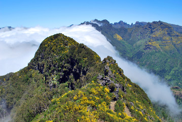 Ascension de la brume &agrave; Mad&egrave;re