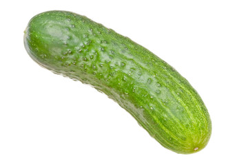 Cucumber