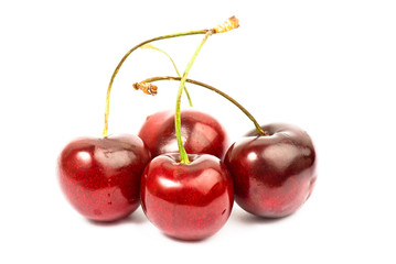 cherry on white background