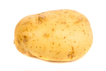 potato on white background