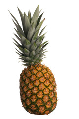Fototapeta premium Fresh Pinapple