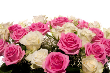 Bouquet of roses on white background