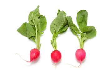 Bunch of radishes on white background