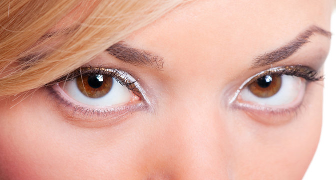 closeup portrait of feminine eyes