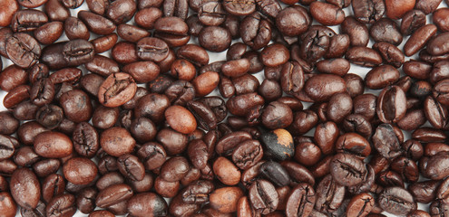 A brown roasted coffee beans