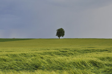 Landschaft nach einem Gewitter