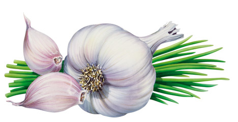 Knoblauch und Schnittlauch