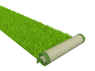 Green carpet