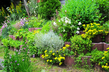 Garten Beet Blumen