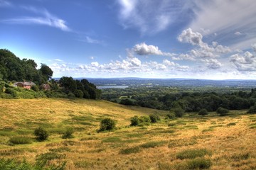 British fields