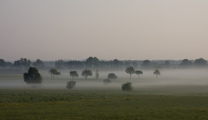 nebel am morgen