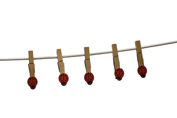Pinzas.