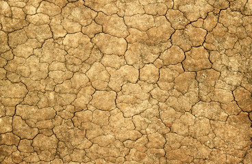 Dry cracked mud natural abstract background.