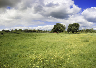 farmland
