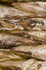 brisling norwegian sardines tin can vinaigrette oil