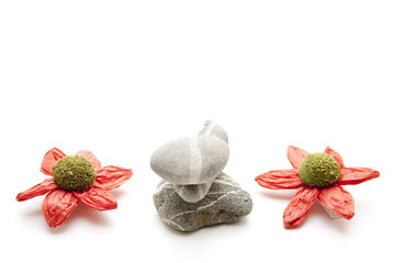 Blüten mit Steine