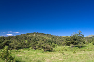 Piani di Praglia