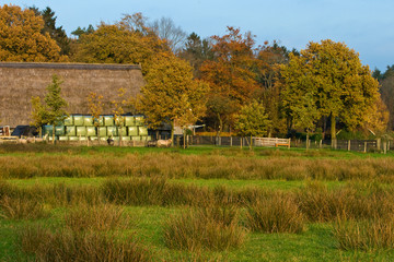 Landscape of a farmland with colorful autumn trees