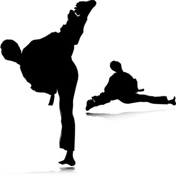 karate sport vector silhouettes