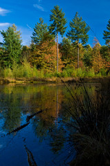 Obraz premium Landscape of a lake with colorful autumn trees