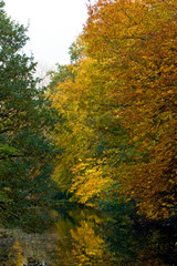 Landscape of a creek with colorful autumn trees