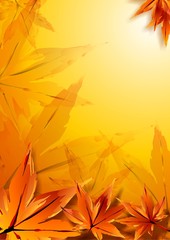 Autumn leaves