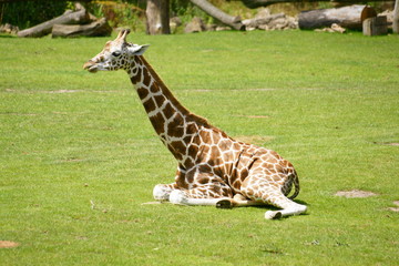 SONY DSC © Axel Gutjahr