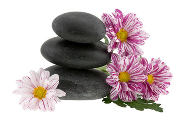 Hot stones with flowers