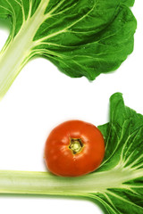 verduras