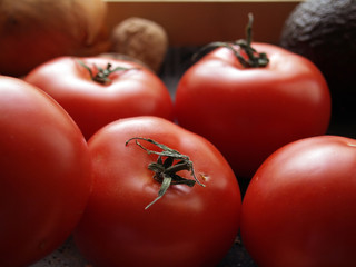 tomates rondes