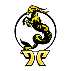 signe zodiaque capricorne