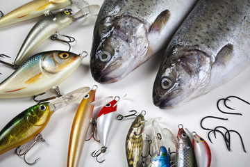 Fishing spinner