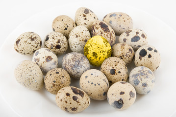 Gold quail egg