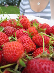 strawberries