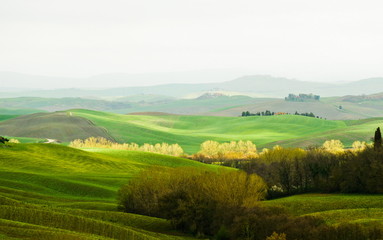 Tuscany hillside