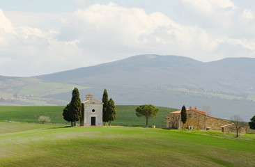 Fototapeta premium Tuscany landscape in spring