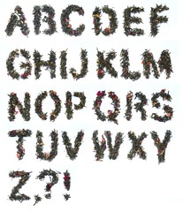 Green tea alphabet