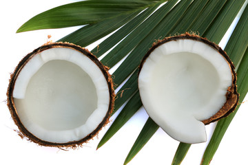 noix de coco ouverte sur feuille de palmier