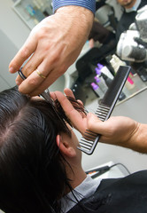 Obraz premium male master of hair