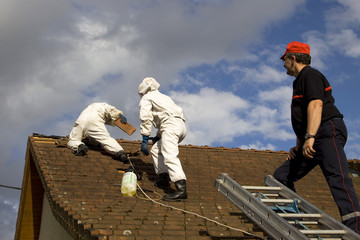 fireman and wasps' nest