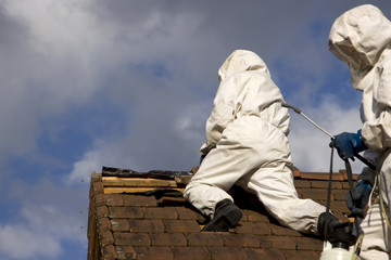 fireman and wasps' nest