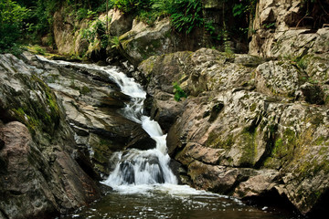 petit cours d'eau 1