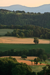 vue sur champs
